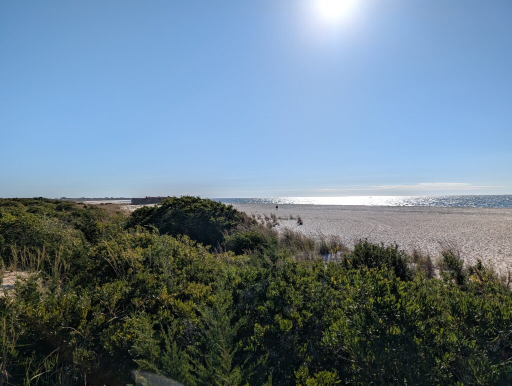 a beach with trees and water (MyCoast AI)