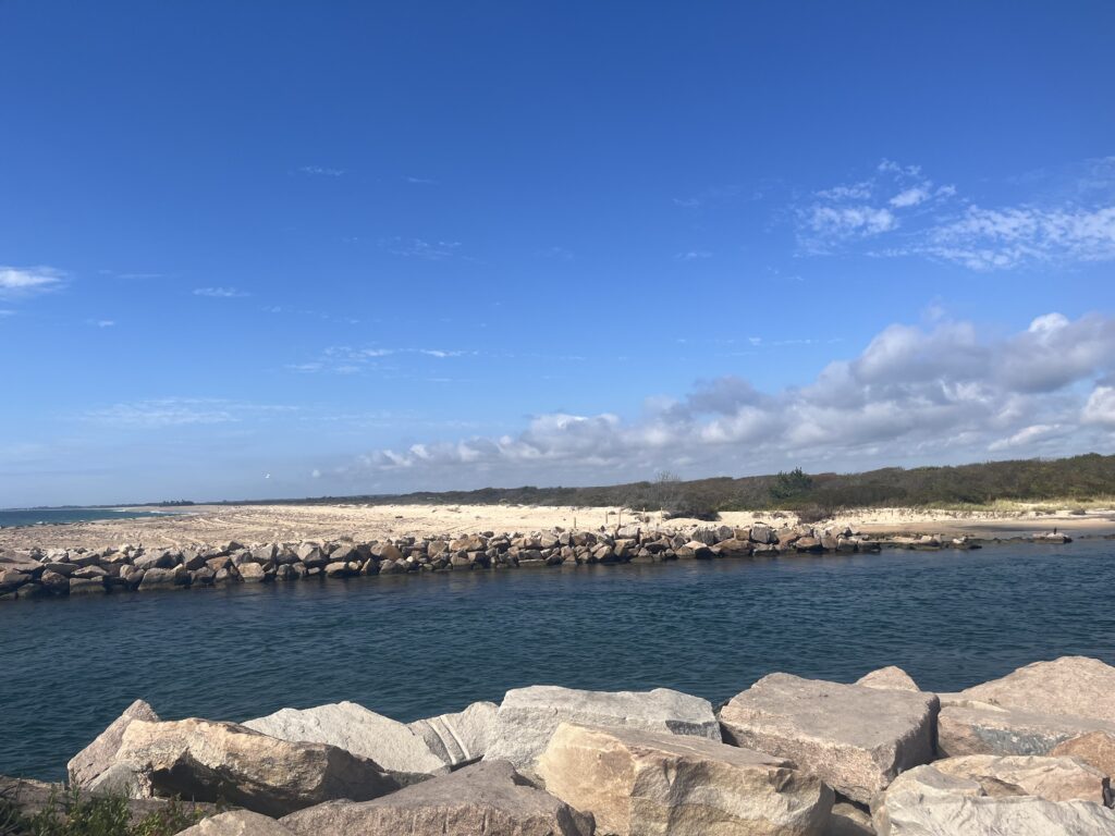 a body of water with rocks and a land in the background (MyCoast AI)