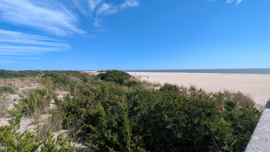 a landscape with trees and bushes (MyCoast AI)