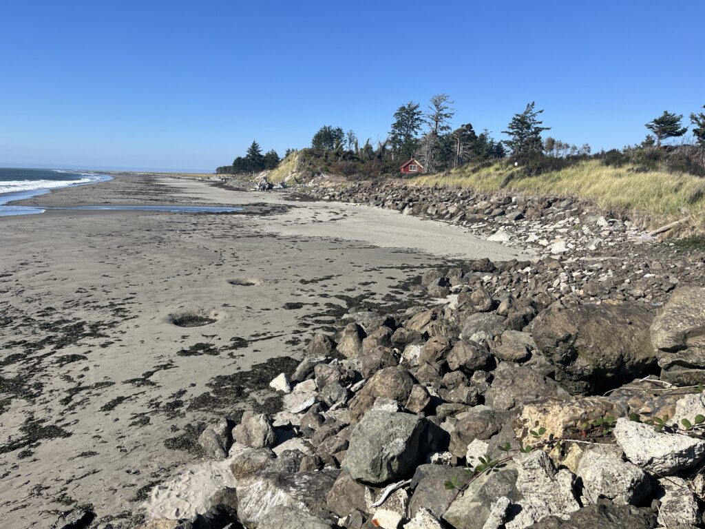 a rocky beach with trees and a hill in the background (MyCoast AI)