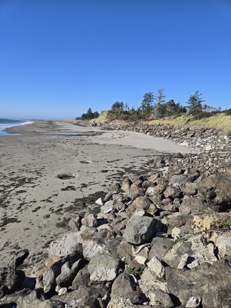 a rocky beach with trees and blue sky (MyCoast AI)