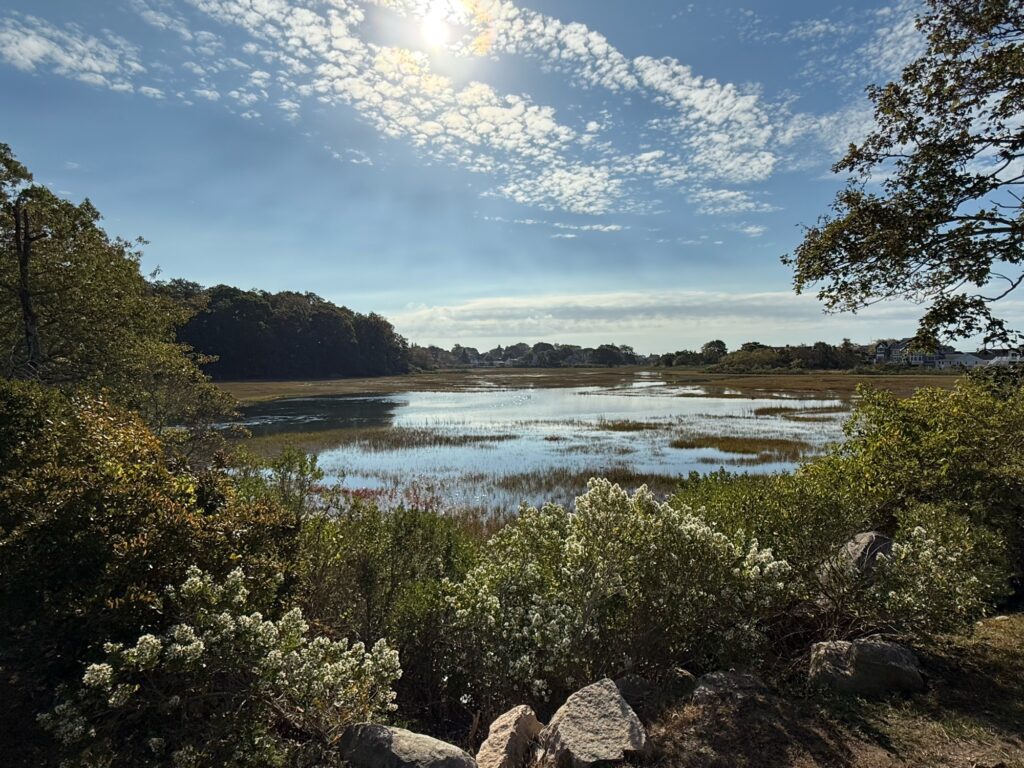 a body of water surrounded by trees (MyCoast AI)