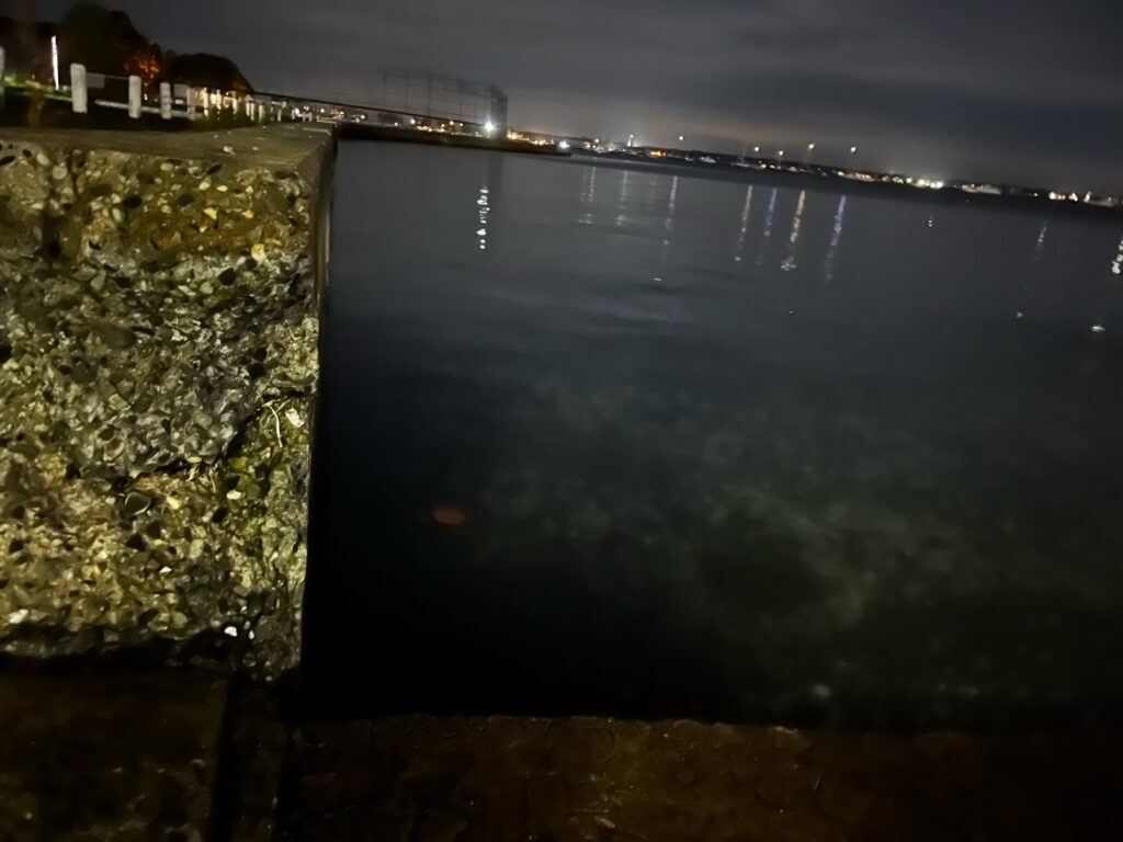 a body of water with a bridge in the background (MyCoast AI)
