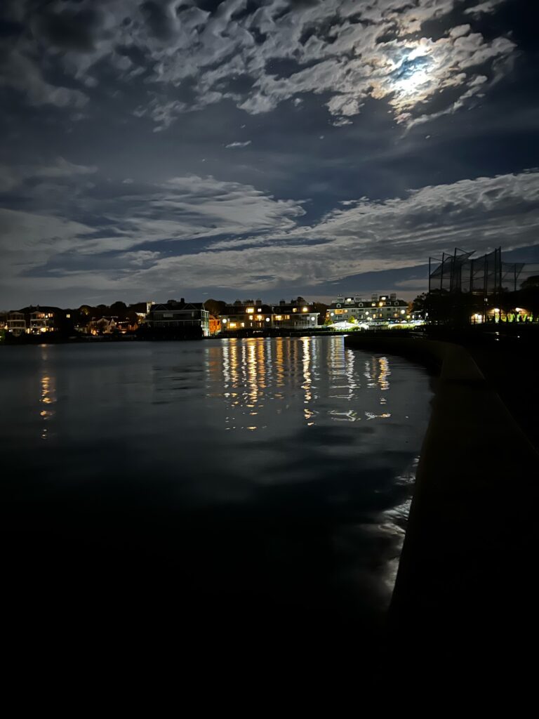 a body of water with buildings and lights in the background (MyCoast AI)