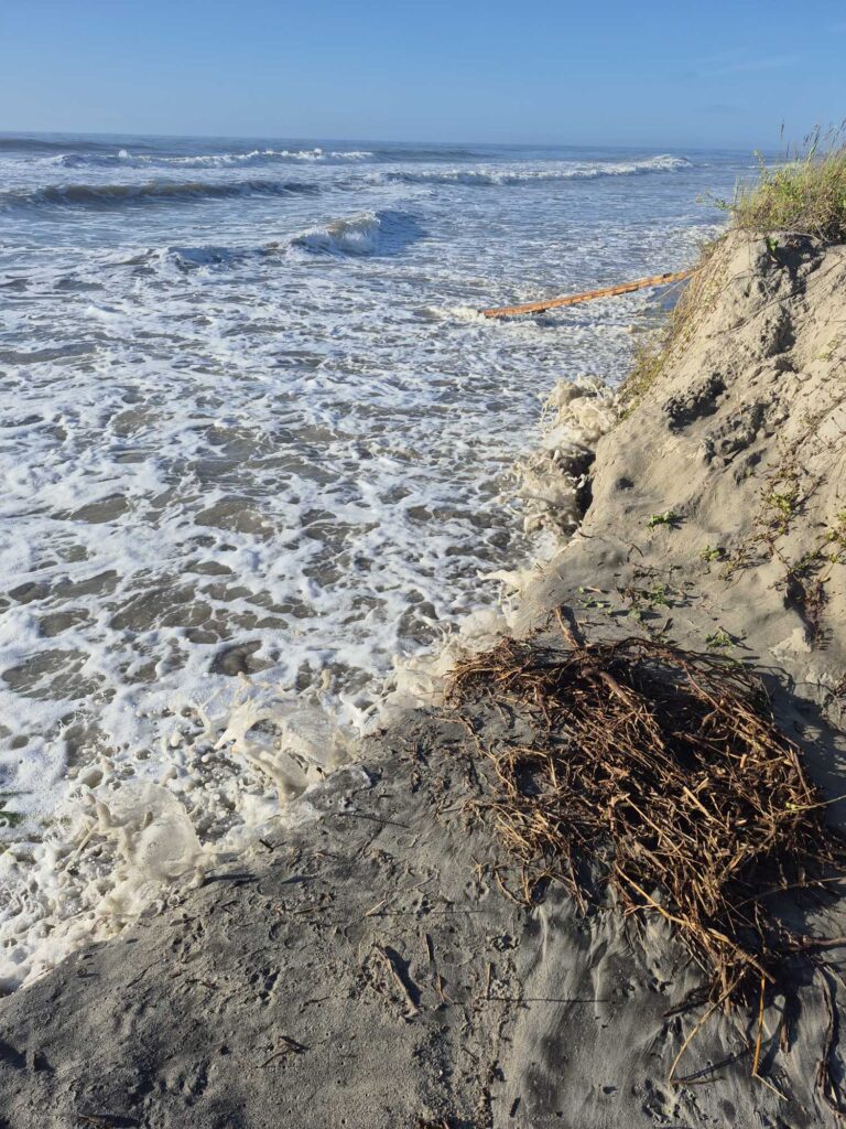 waves crashing on a rocky beach (MyCoast AI)