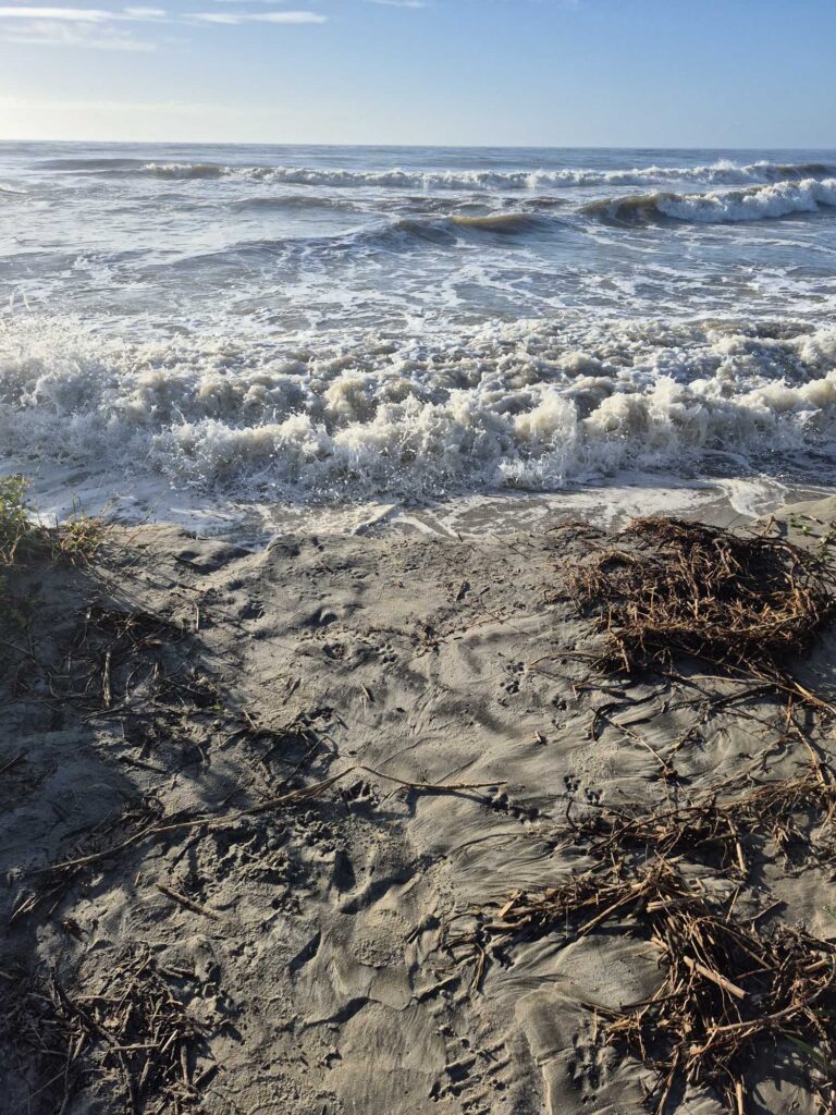 waves crashing on a rocky beach (MyCoast AI)