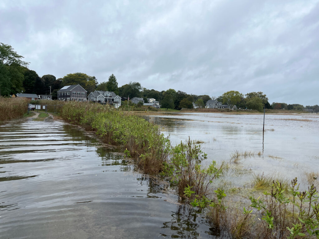 a flooded area with houses and trees (MyCoast AI)