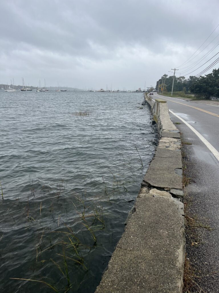 a road next to a body of water (MyCoast AI)
