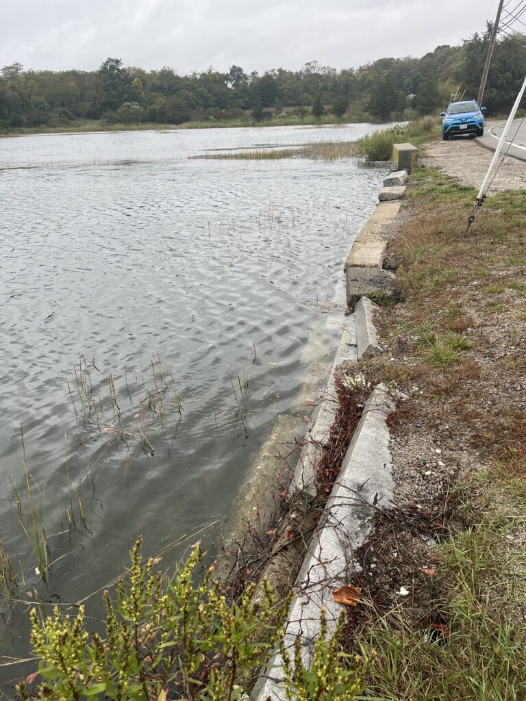 a body of water with a car parked on the side (MyCoast AI)