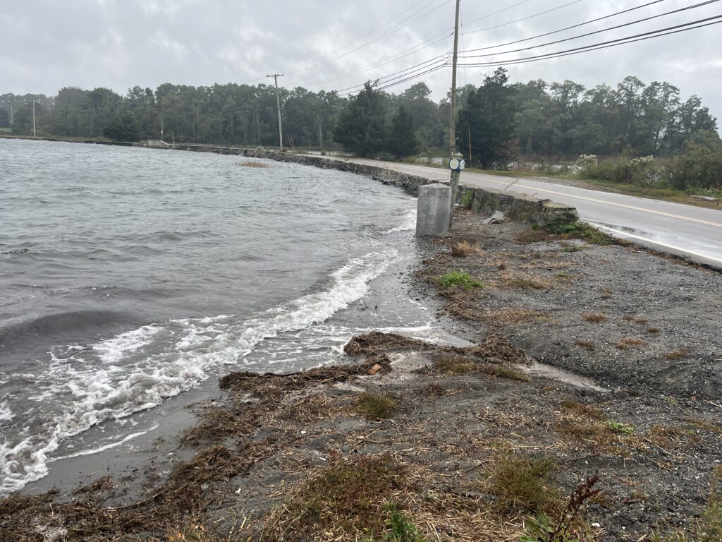 a road next to a body of water (MyCoast AI)