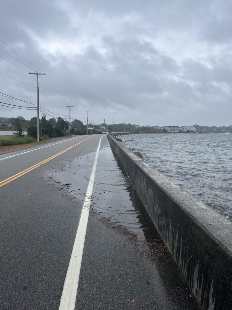 a road next to a body of water (MyCoast AI)