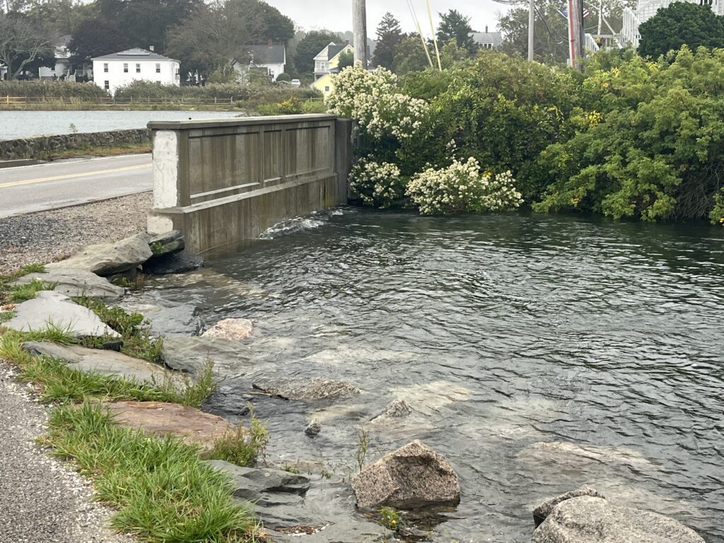 a river with a bridge over it (MyCoast AI)