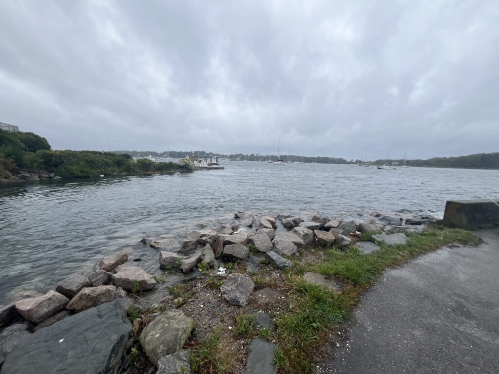a rocky shore with a body of water and a boat in the distance (MyCoast AI)