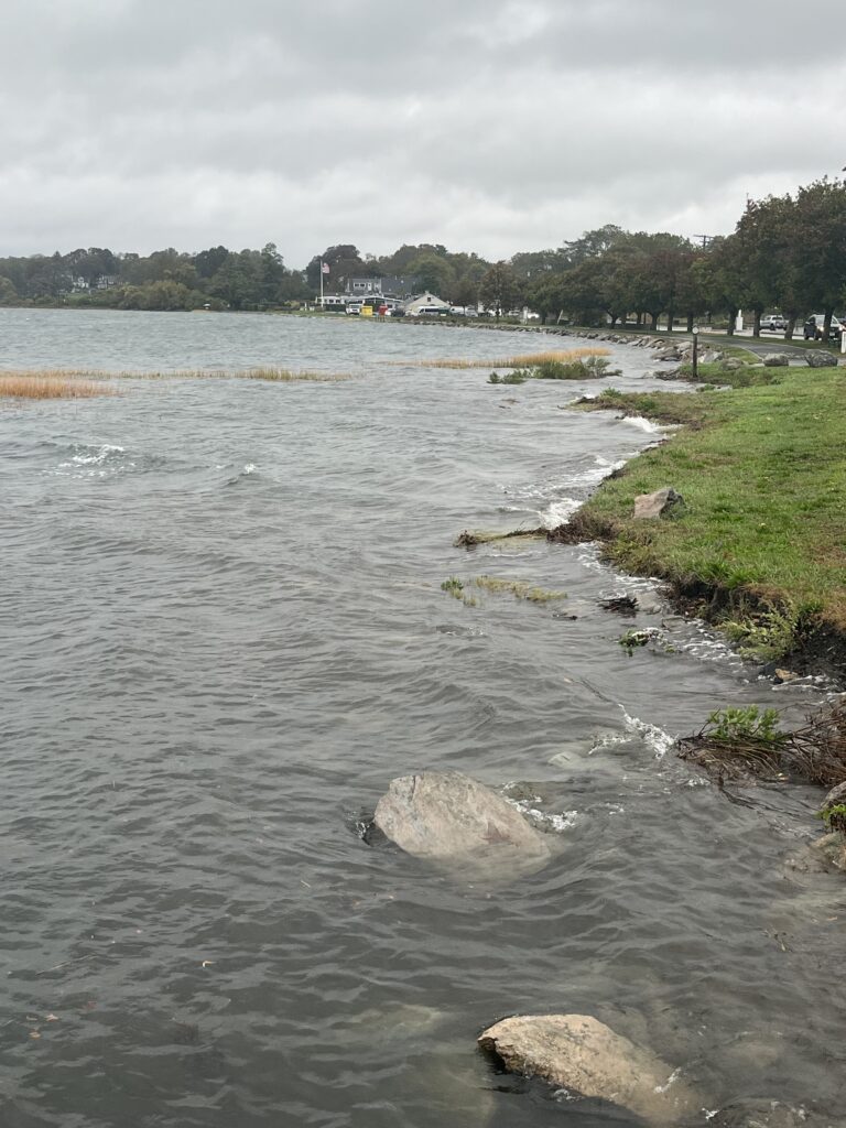 a river with rocks and grass (MyCoast AI)