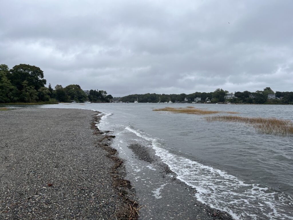 a beach with a body of water (MyCoast AI)