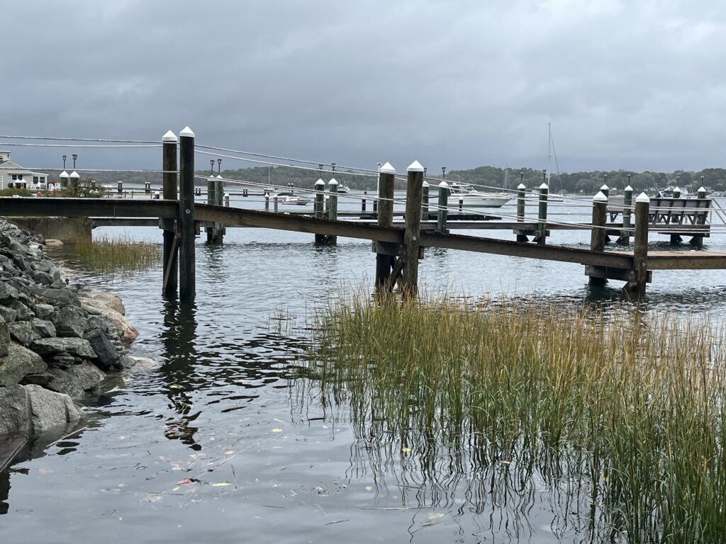 a dock over a body of water (MyCoast AI)