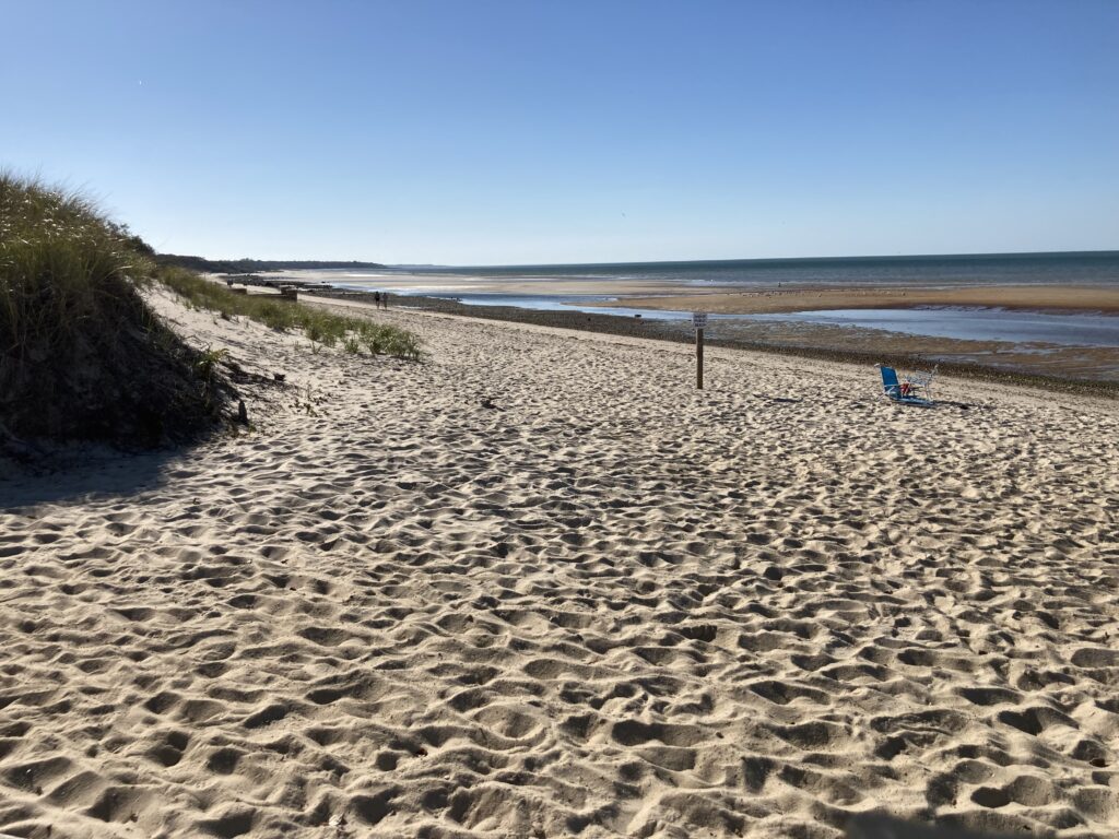 a sandy beach with a blue chair (MyCoast AI)
