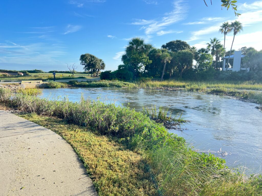 a body of water with grass and trees around it (MyCoast AI)