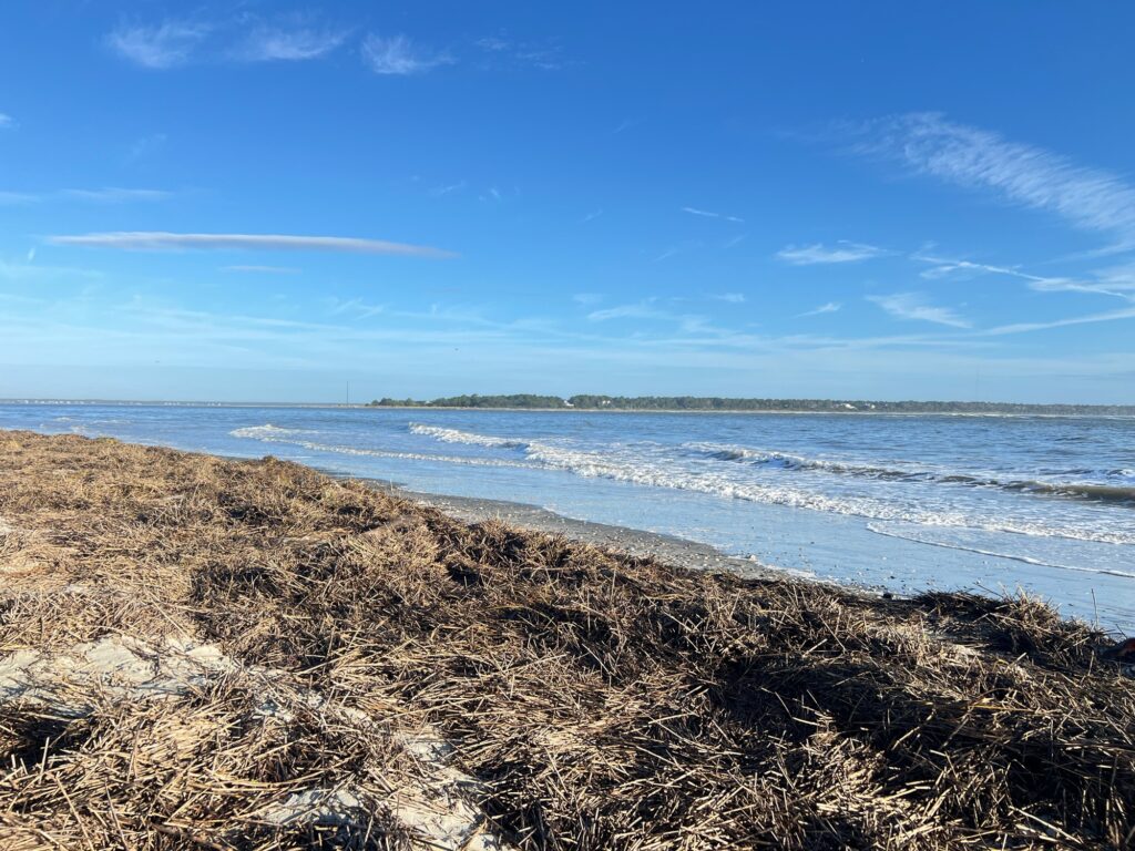 a sandy beach with water and blue sky (MyCoast AI)