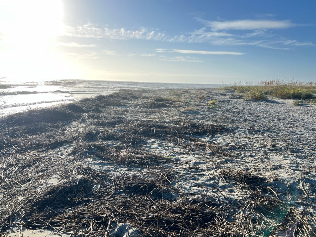 a large flat area with snow (MyCoast AI)