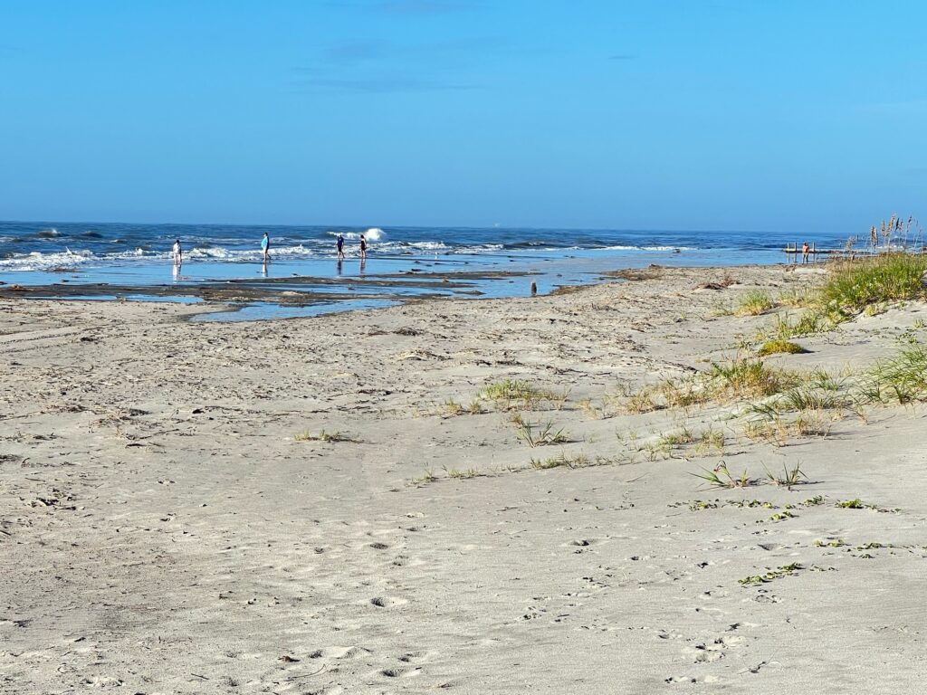 people on the beach (MyCoast AI)