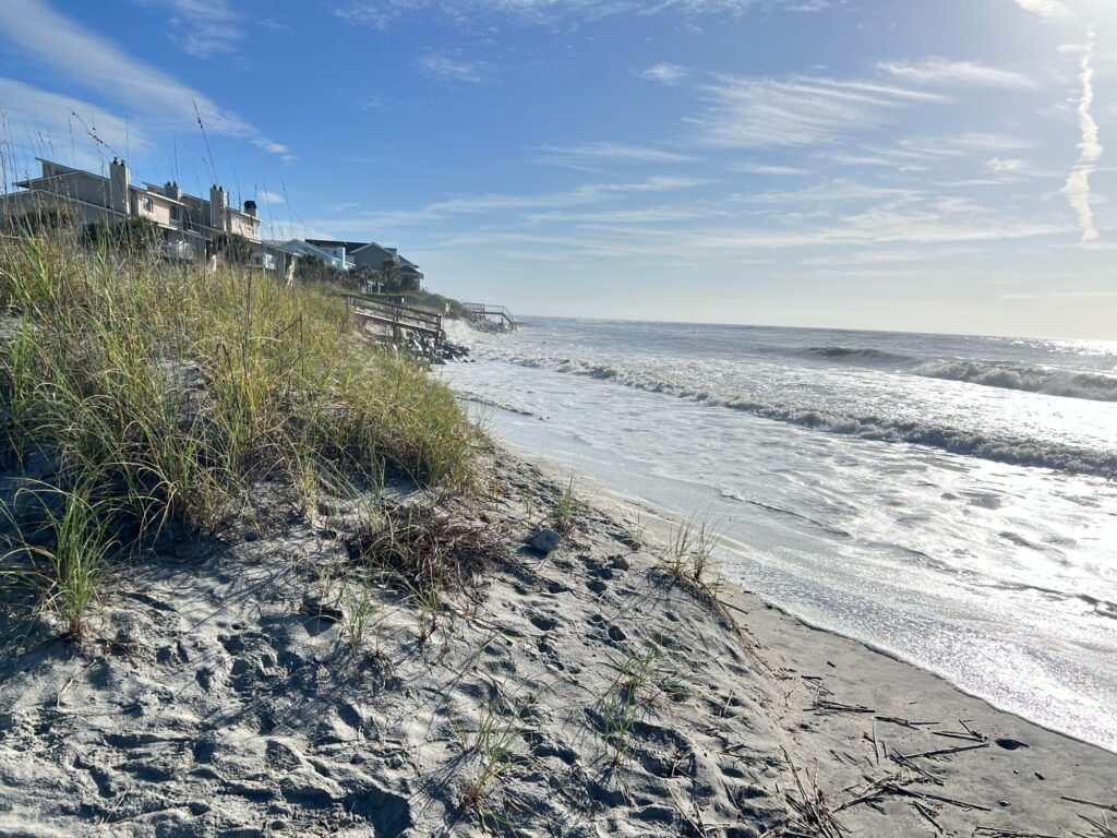 a beach with sand and grass (MyCoast AI)