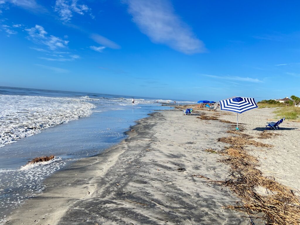 a beach with a flag (MyCoast AI)
