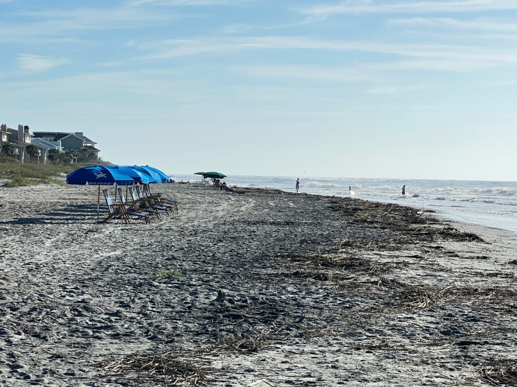 a beach with blue umbrellas (MyCoast AI)