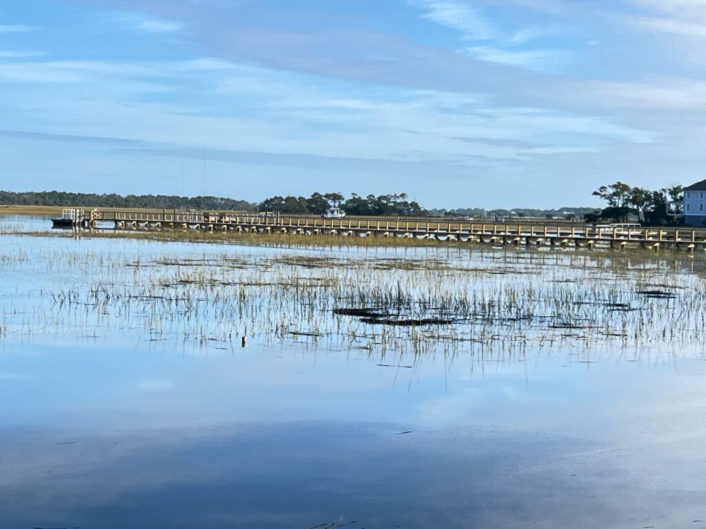 a body of water with a dock and trees in the background (MyCoast AI)