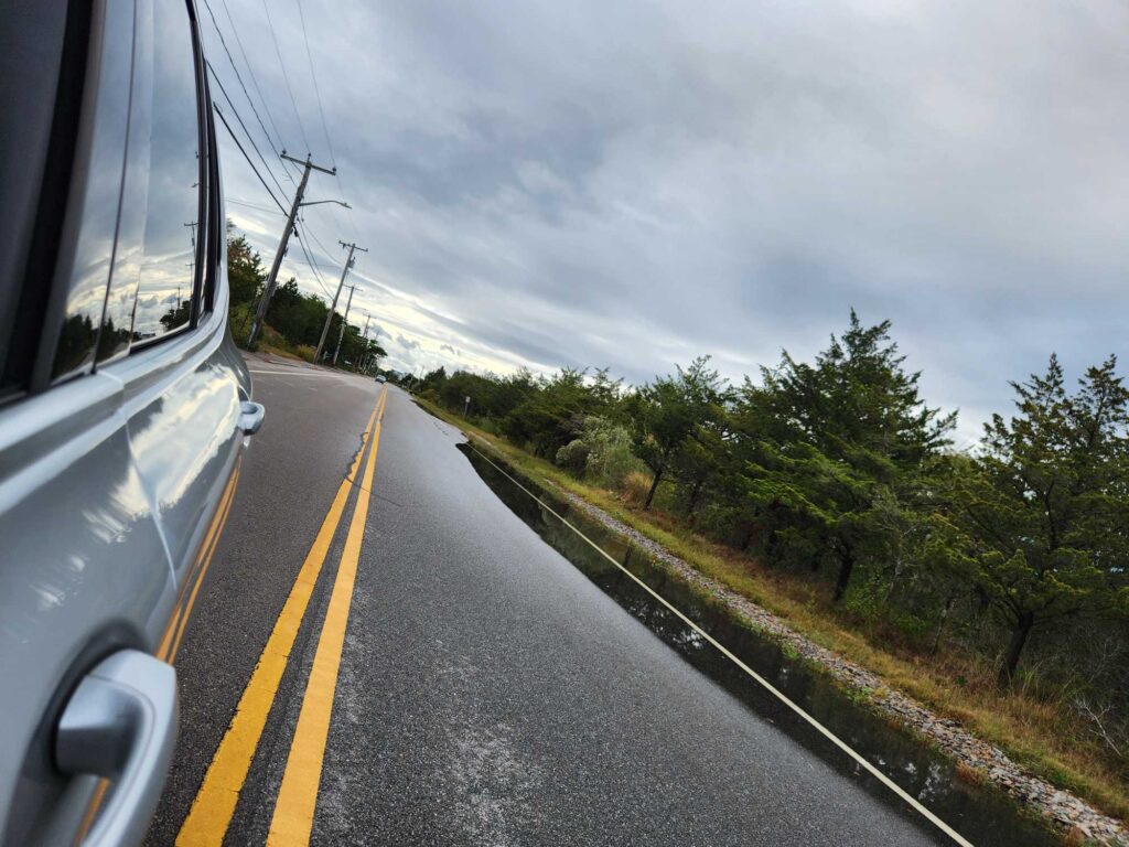 a road with trees on the side (MyCoast AI)