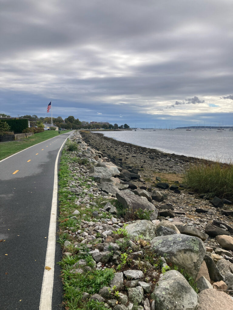 a road next to a body of water (MyCoast AI)
