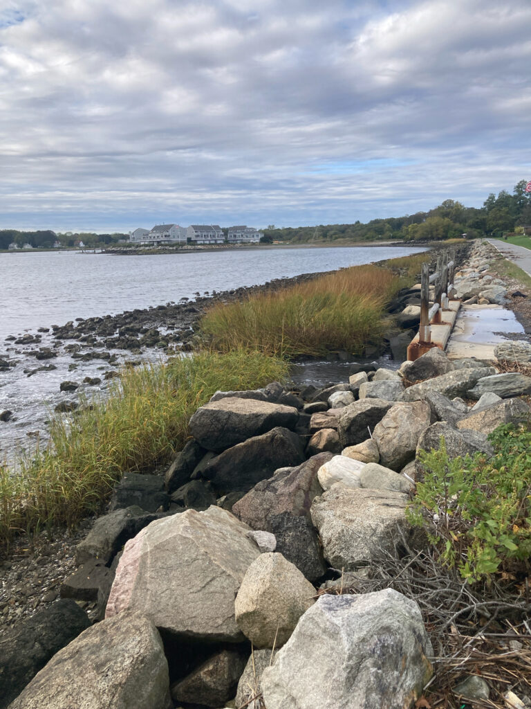a rocky shore with a body of water and a land with trees (MyCoast AI)