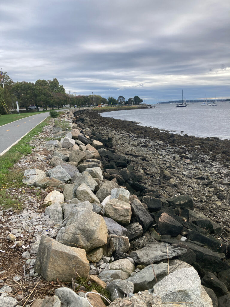 a rocky shore with a boat in the distance (MyCoast AI)