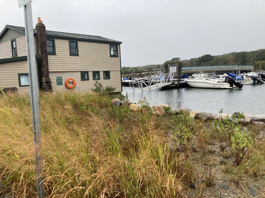 a group of boats sit in a harbor (MyCoast AI)