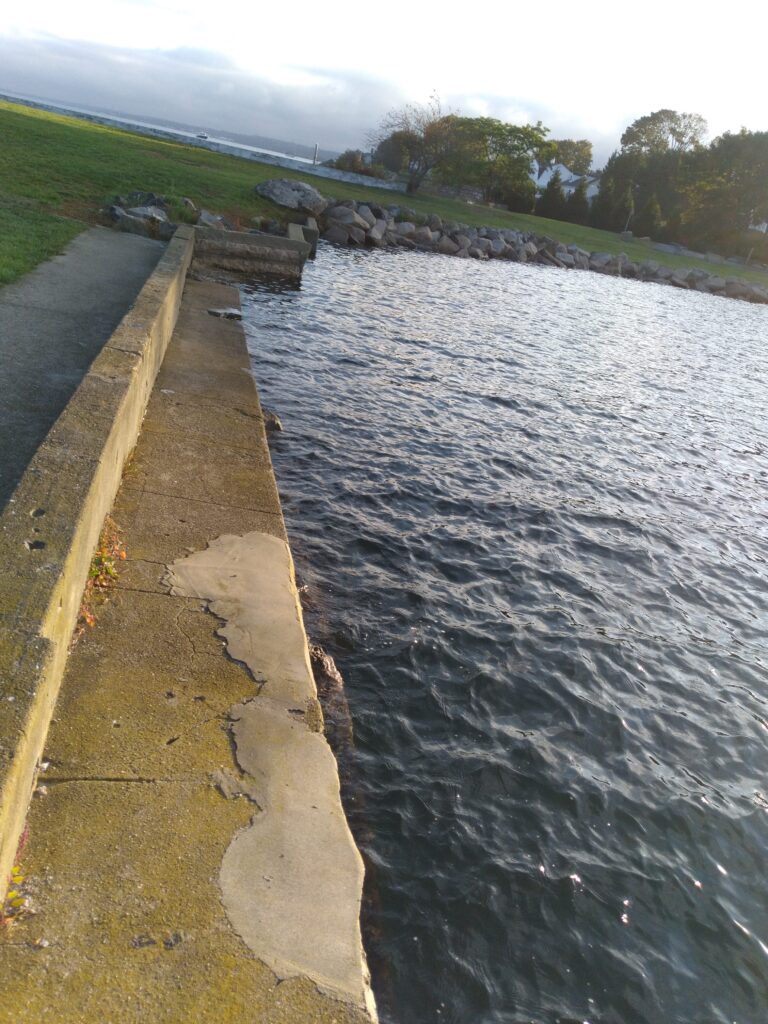 a body of water with grass and trees around it (MyCoast AI)