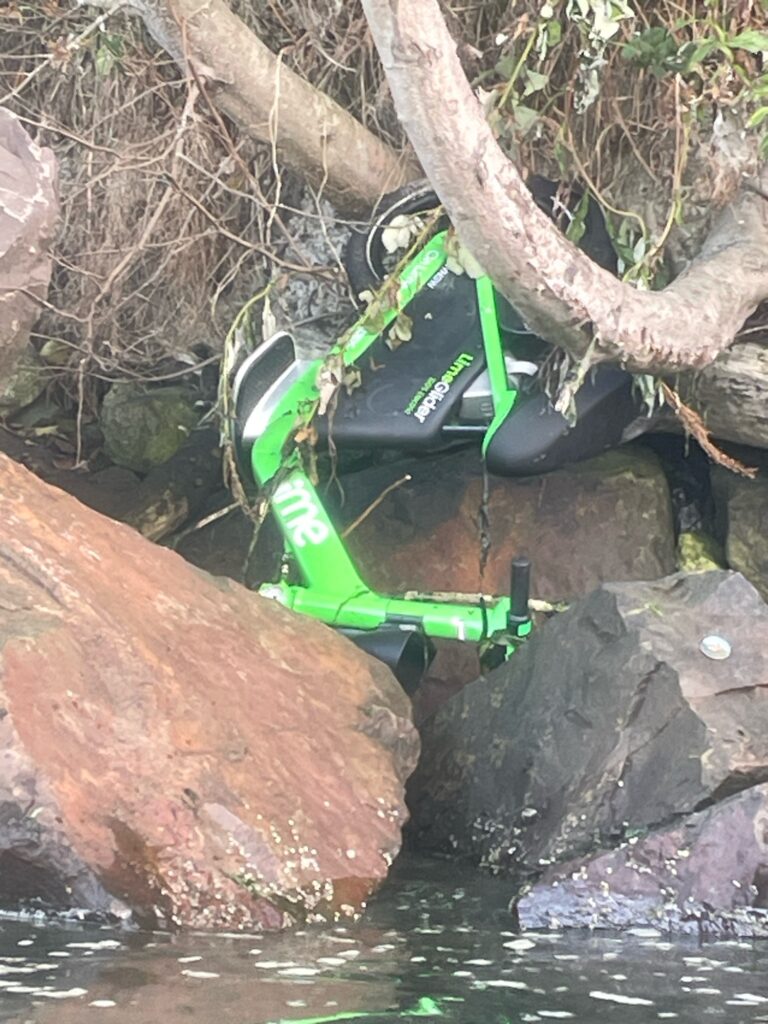 a pair of green shoes on rocks (MyCoast AI)