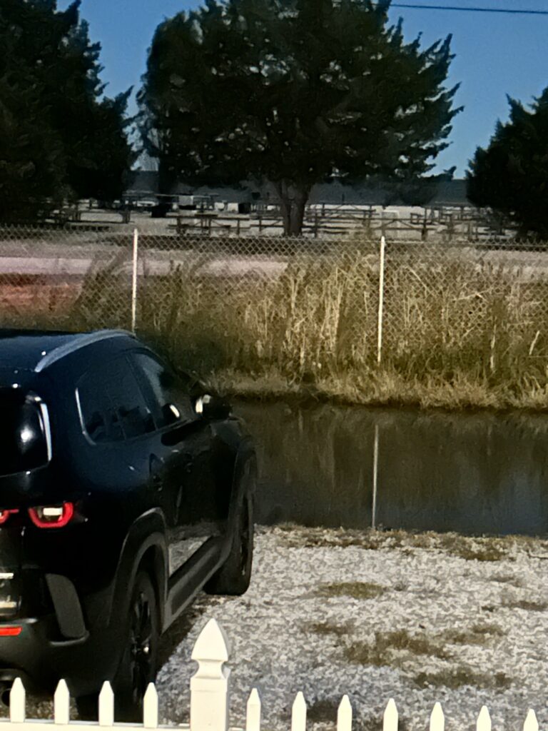 a car parked by a pond (MyCoast AI)