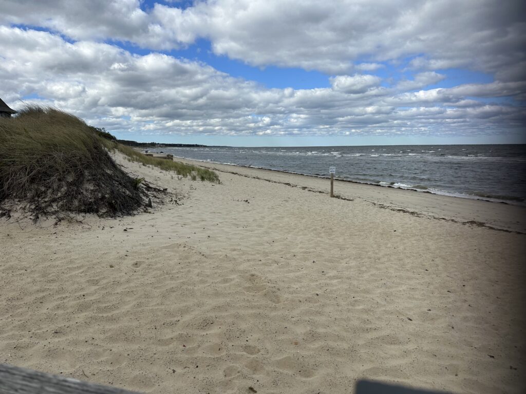 a sandy beach with a fence (MyCoast AI)