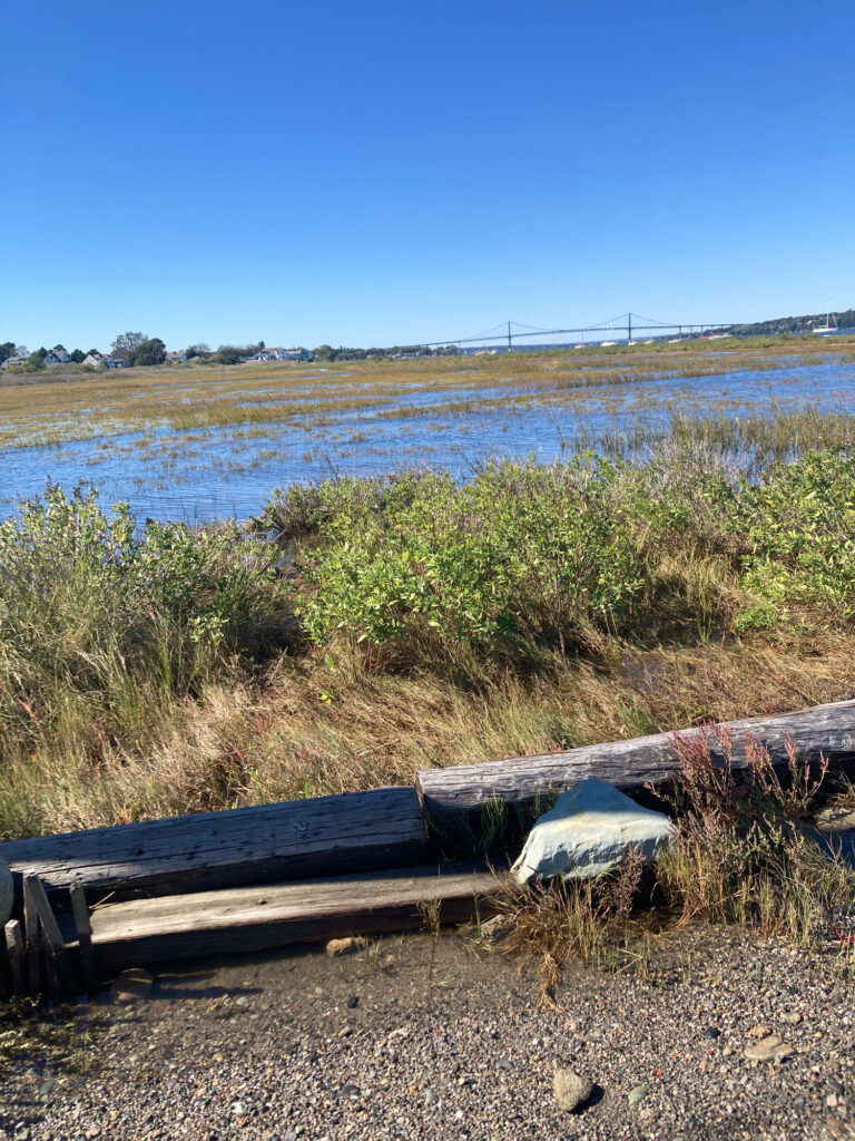 a wooden bench in a field (MyCoast AI)
