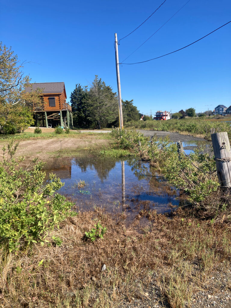 a small pond in a field (MyCoast AI)