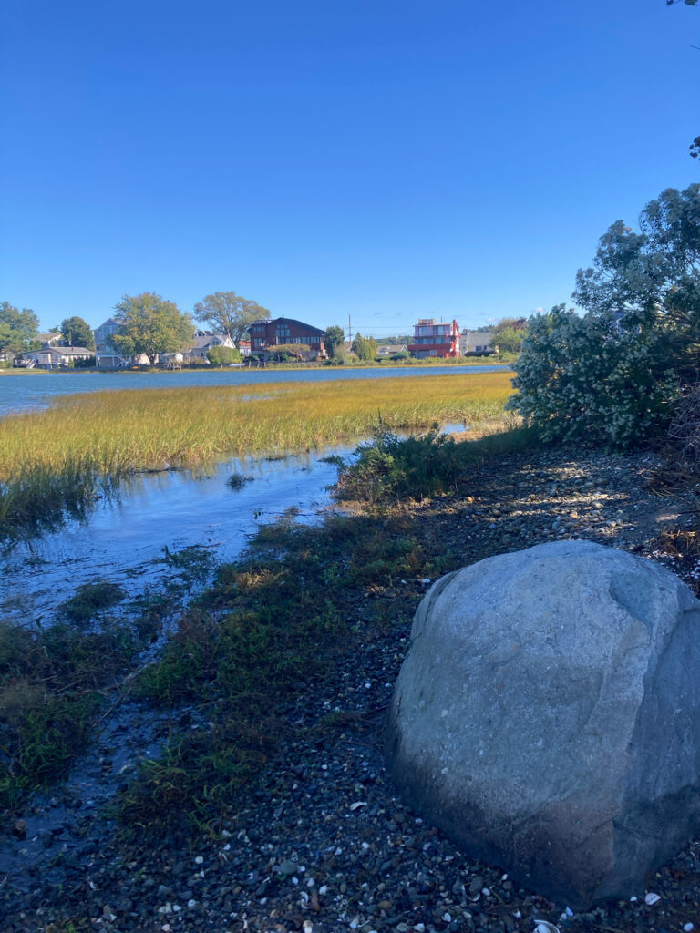 a rock on a rock by a river (MyCoast AI)
