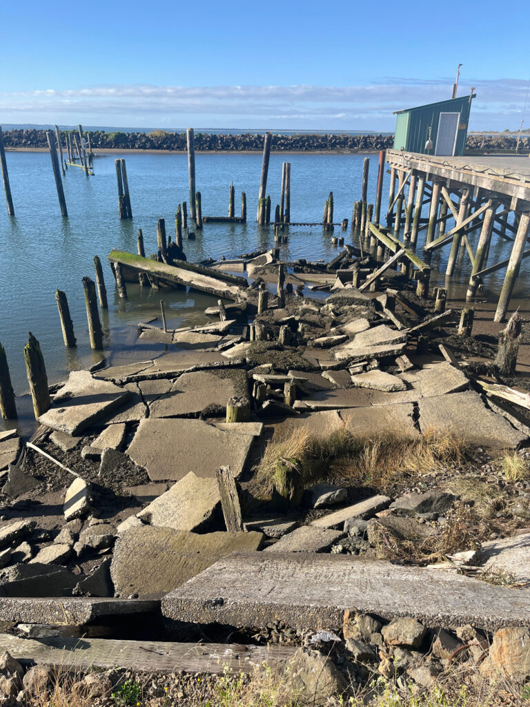 a dock over a body of water (MyCoast AI)