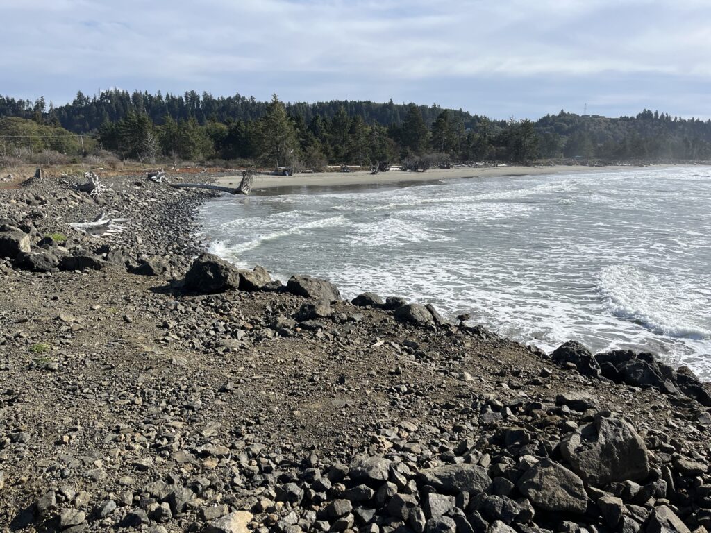 a rocky beach with trees in the background (MyCoast AI)
