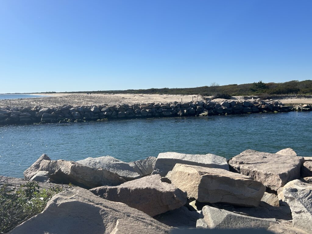a rocky beach with a body of water in the background (MyCoast AI)