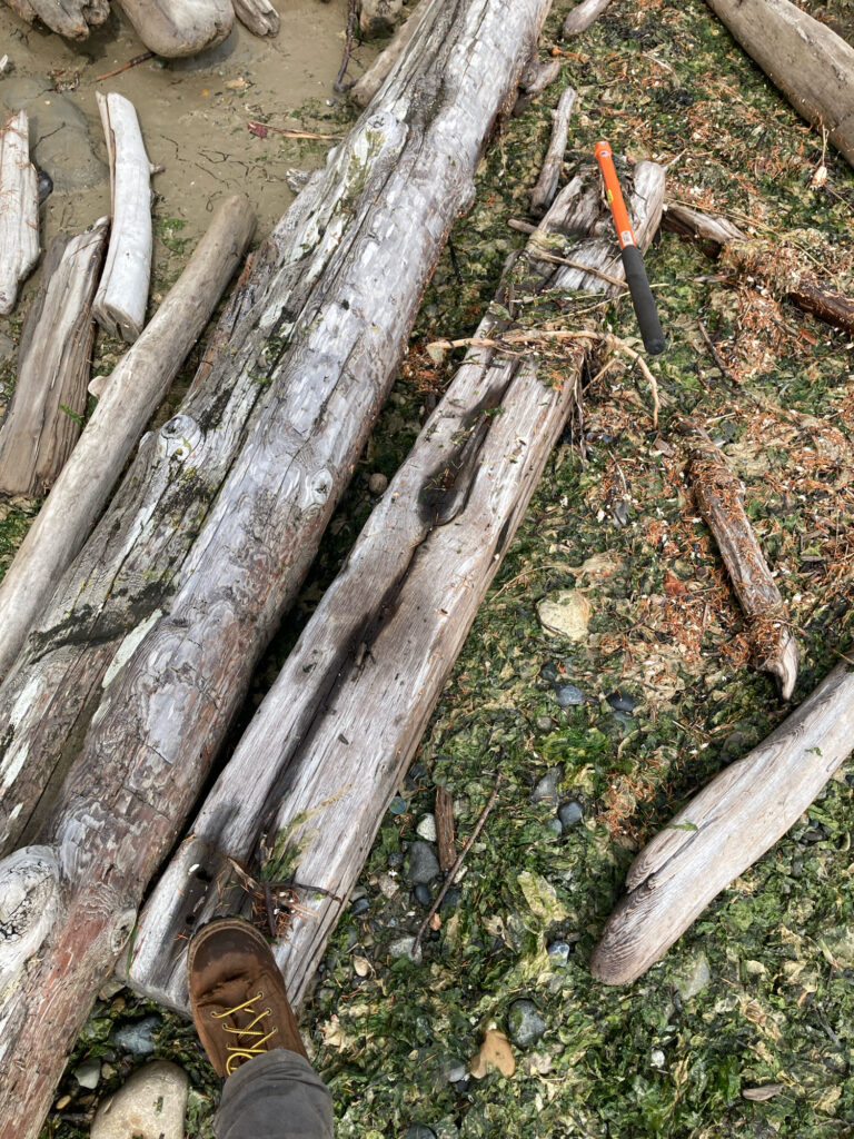 a person stands next to a pile of wood (MyCoast AI)