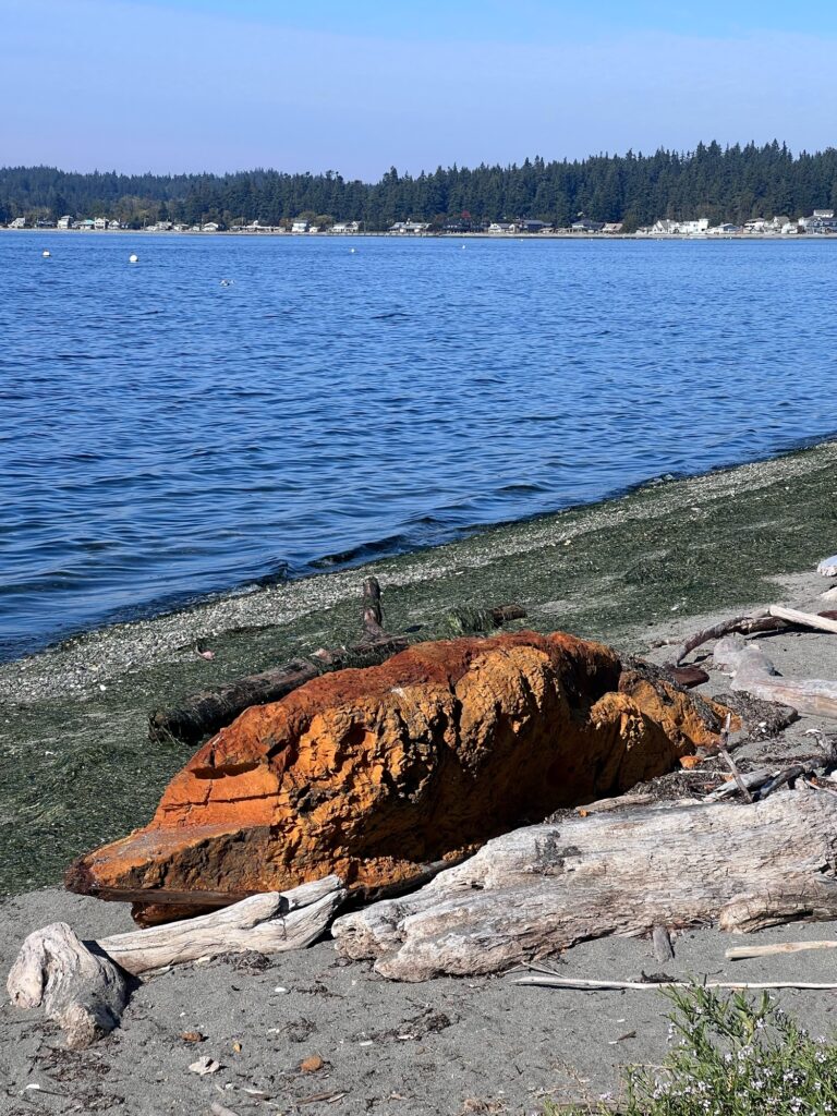 a body of water with rocks and trees in the background (MyCoast AI)