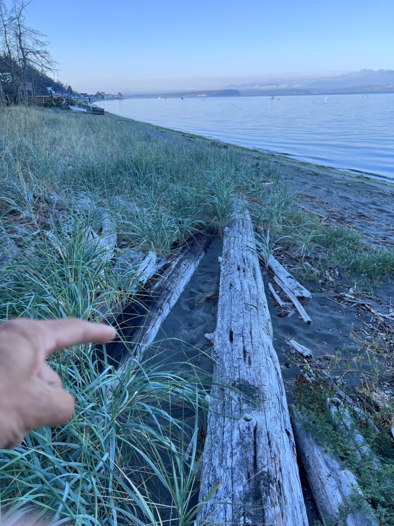 a hand holding a branch over a body of water (MyCoast AI)