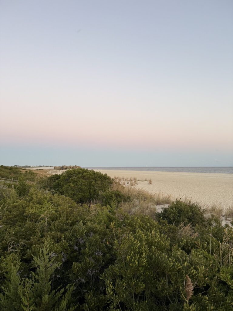 a beach with trees and bushes (MyCoast AI)