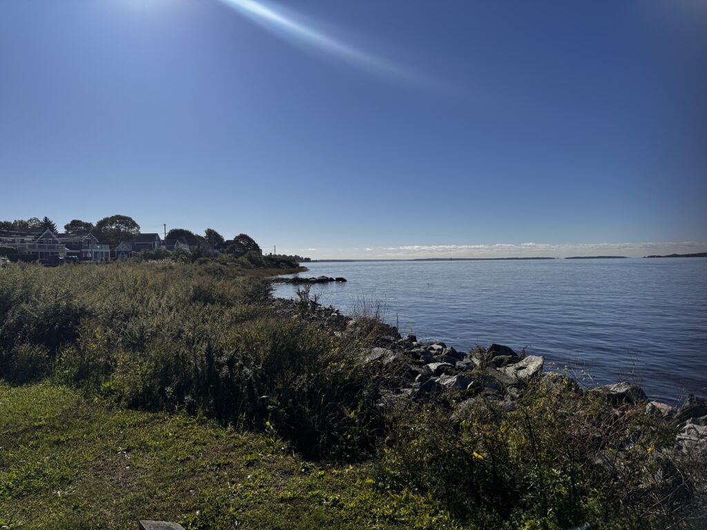 a body of water with grass and trees around it (MyCoast AI)