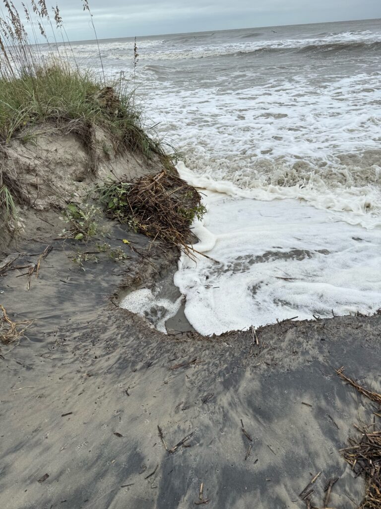 a beach with waves crashing on it (MyCoast AI)